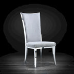 Chaise de salle à manger en acier inoxydable argenté