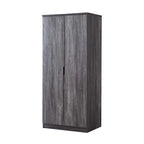 Armoire-penderie moderne à 2 portes
